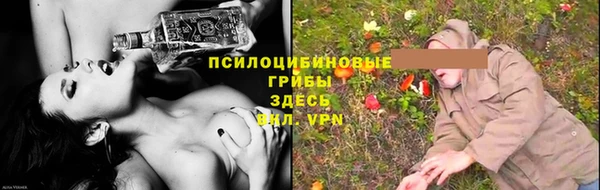 твердый Абаза