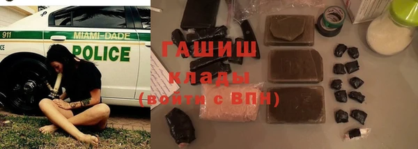 твердый Абаза