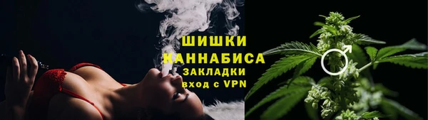 твердый Абаза