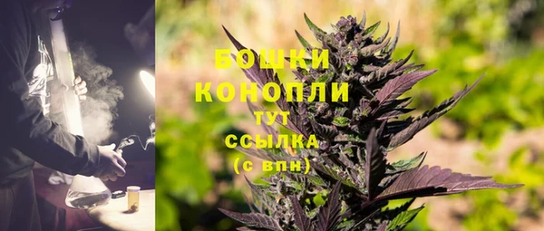 твердый Абаза