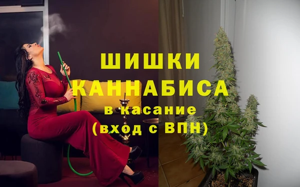 твердый Абаза